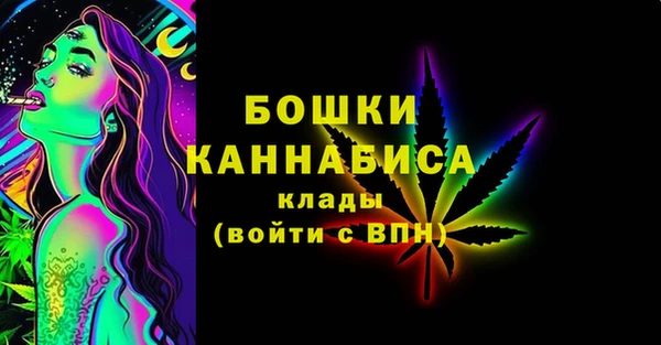 ПСИЛОЦИБИНОВЫЕ ГРИБЫ Лагань