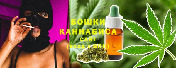 ПСИЛОЦИБИНОВЫЕ ГРИБЫ Лагань