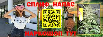 сатива Краснокаменск