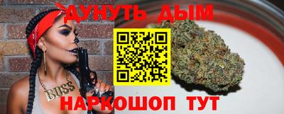 прущие грибы Краснодар